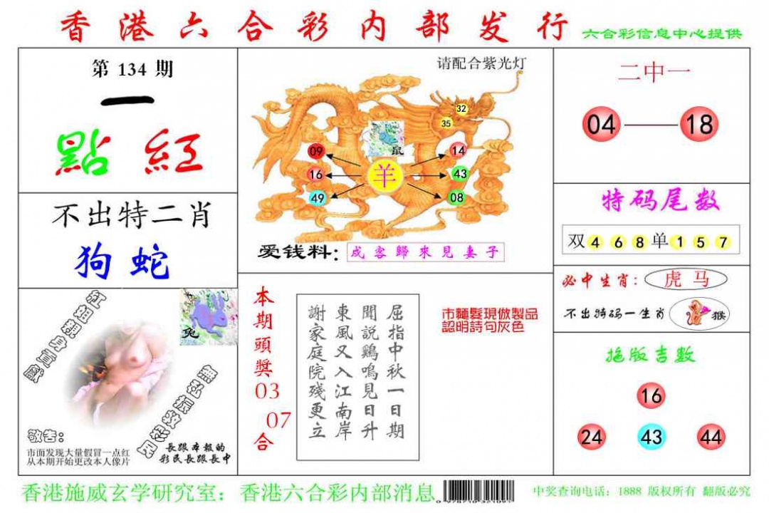 134期一点红[图]