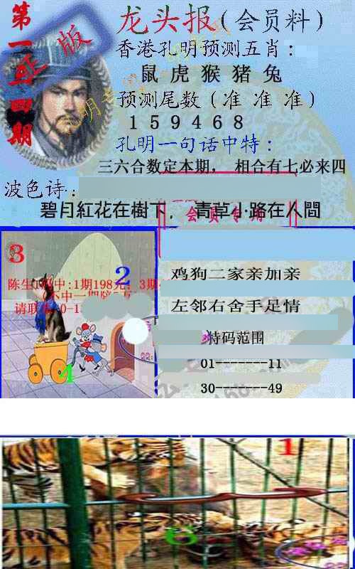 134期龙头报[图]