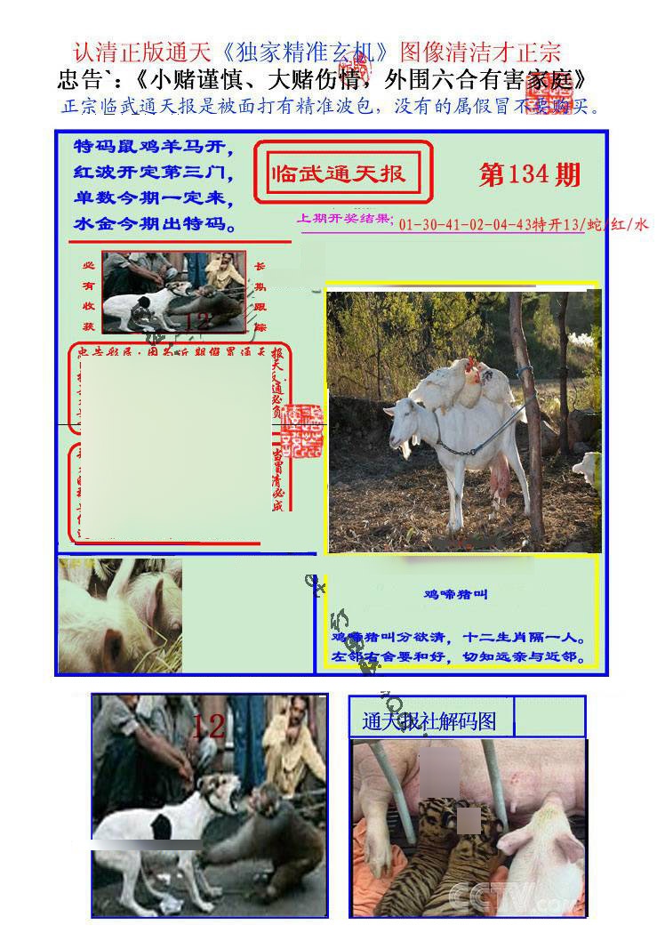 134期临武通天报[图]