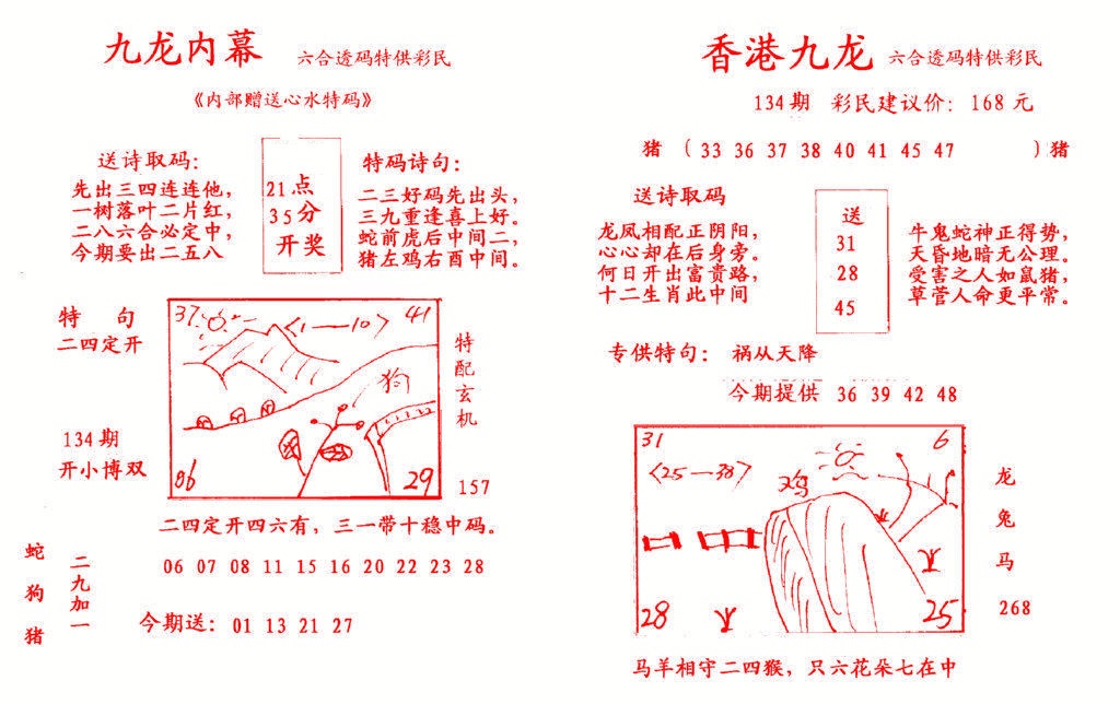 134期九龙内幕[图]