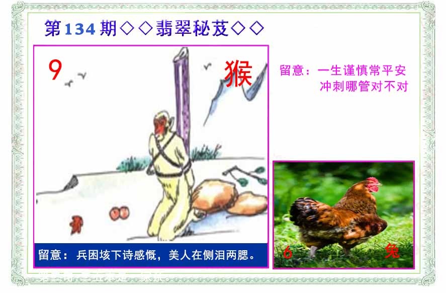 134期翡翠报[图]