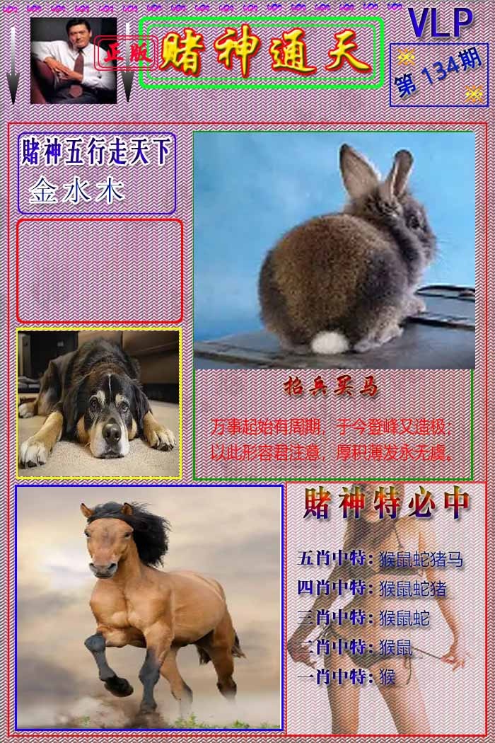 134期赌神通天报[图]