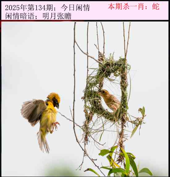 134期今日闲情[图]