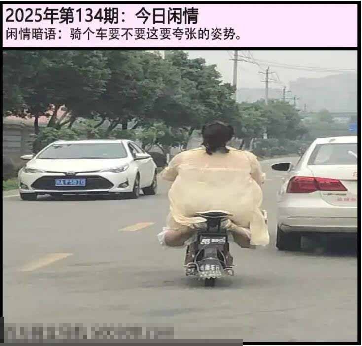 134期另版今日闲情[图]