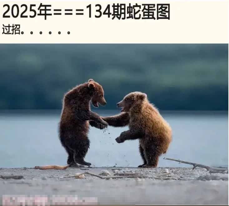 134期另版蛇蛋图[图]